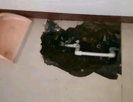 博野卫生间测漏水多少钱